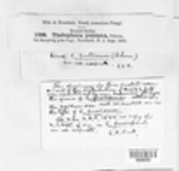 Image Associated With the Occurence